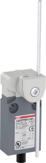 Ein Endschalter mit einem langen Betätigungshebel aus Metall, der in industriellen Anwendungen zur Steuerung von Maschinenpositionen verwendet wird.