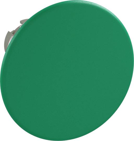 Ein großer, runder grüner Knopf vor einem weißen Hintergrund.