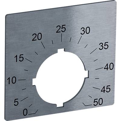 Metallscheibe mit numerischer Skala von 0 bis 50 in 5er-Schritten, gleichmäßig um ein zentrales, kreuzförmiges Loch angeordnet.