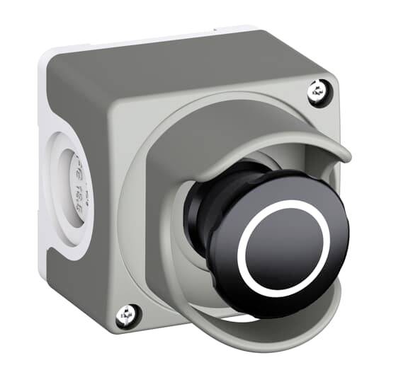 Grau-weißer elektrischer Schalter mit schwarzem Drehknopf in Schutzgehäuse, vier Schrauben in den Ecken.