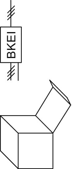 'BKEI'-Symbol über einem geöffneten Karton mit Deckel.