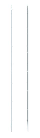 Zwei schlanke, identische Masten stehen nebeneinander aufrecht, ohne erkennbare Details oder Dekorationen.