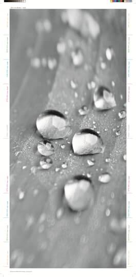 Wassertropfen auf einer glatten, grauen Oberfläche, die in verschiedenen Größen verteilt sind und Licht reflektieren.