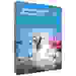 Adobe Photoshop Elements 2024 Vollversion, 1 Lizenz Windows, Mac Bildbearbeitung