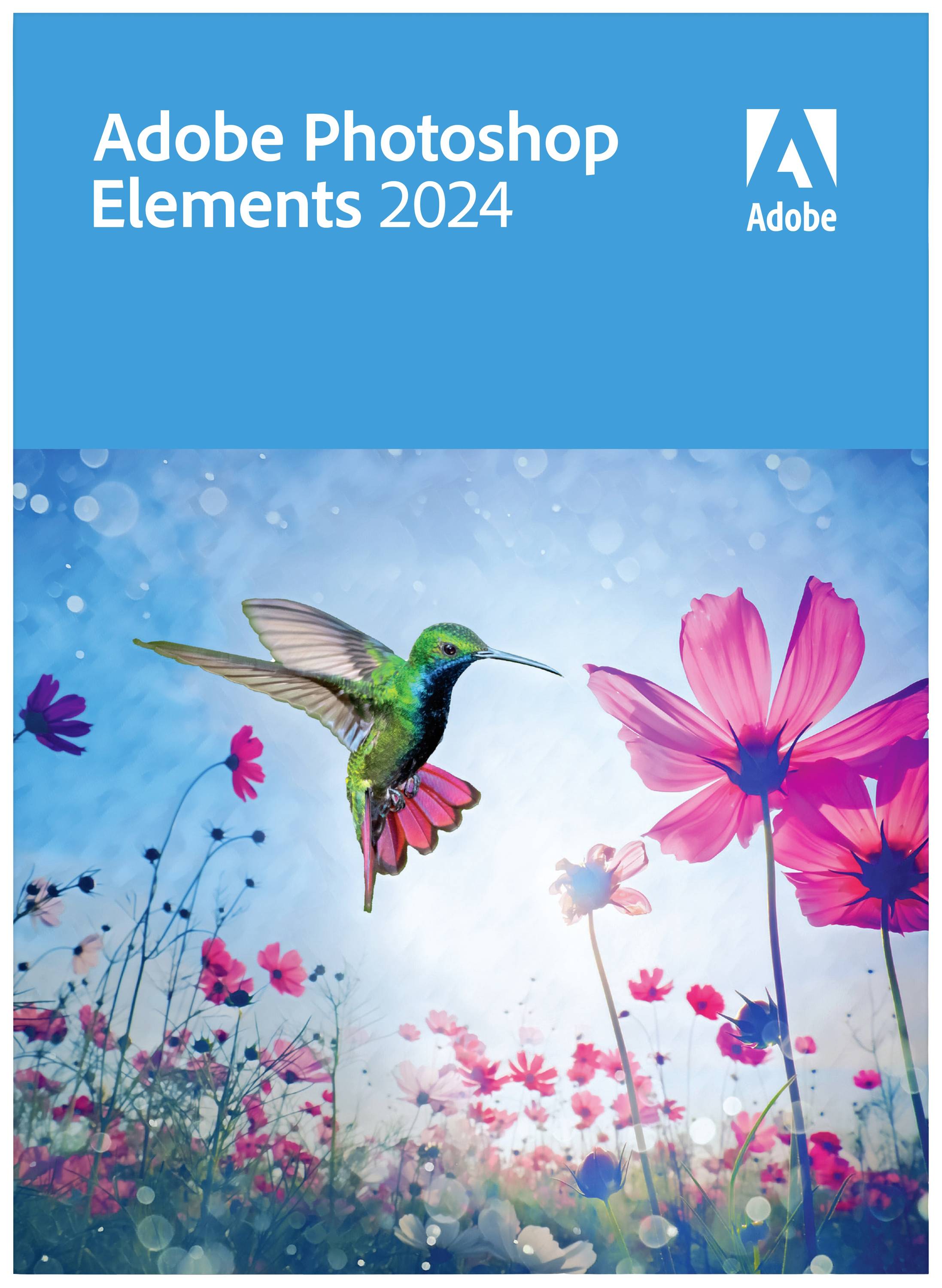 Adobe Photoshop Elements 2024 Vollversion, 1 Lizenz Windows, Mac Bildbearbeitung