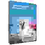 Adobe Photoshop Elements 2024 Upgrade, 1 Lizenz Windows, Mac Bildbearbeitung