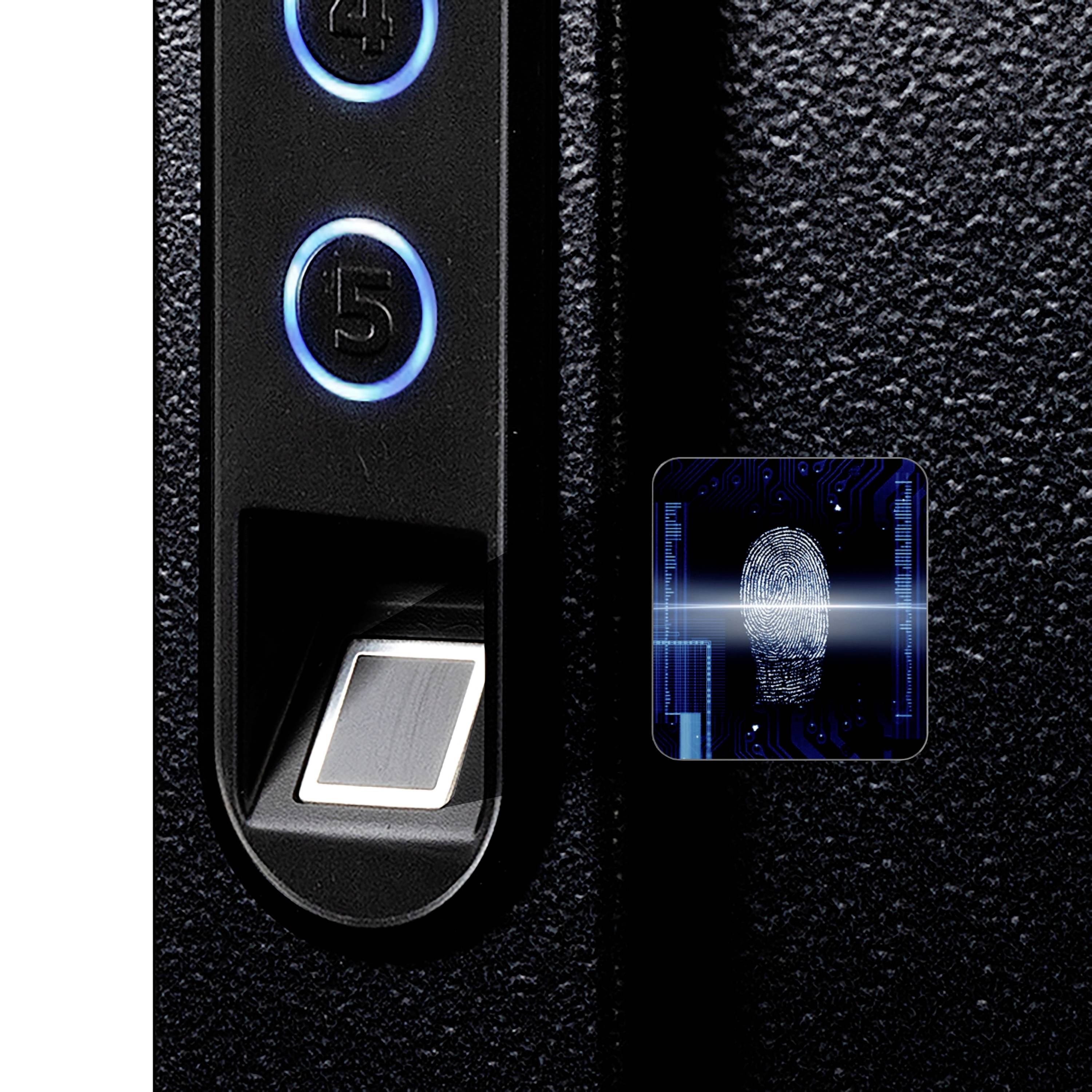 Phoenix KS0021F KS0021F Schlüsseltresor mit Schlüsselhakenleiste Fingerabdruckschloss