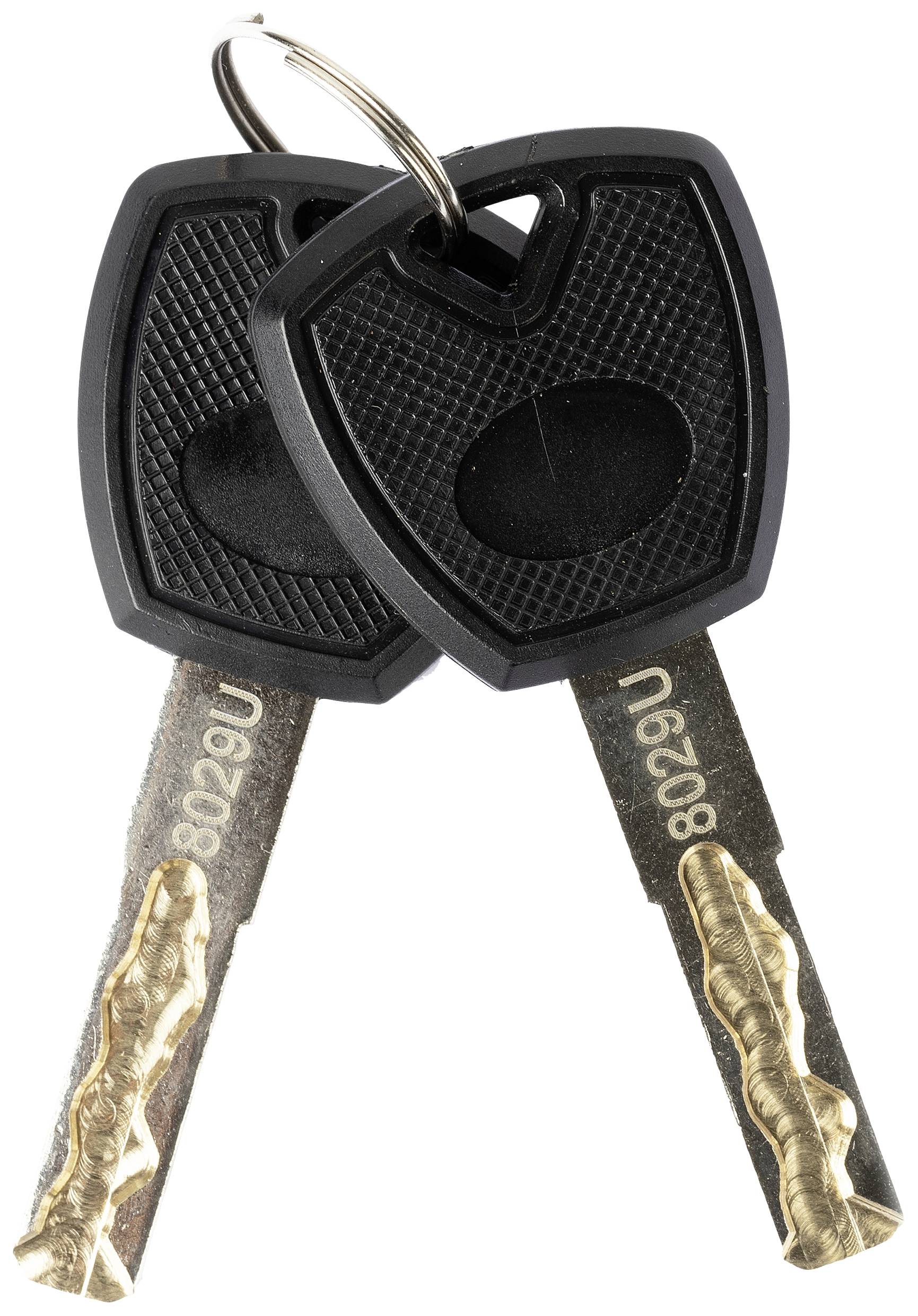 Phoenix KS0021F KS0021F Schlüsseltresor mit Schlüsselhakenleiste Fingerabdruckschloss