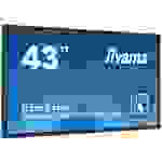 Iiyama ProLite TF4339MSC-B1AG Digital Signage Display EEK: G (A - G) 108cm 42.5 Zoll 1920 x 1080 Pixel 24/7