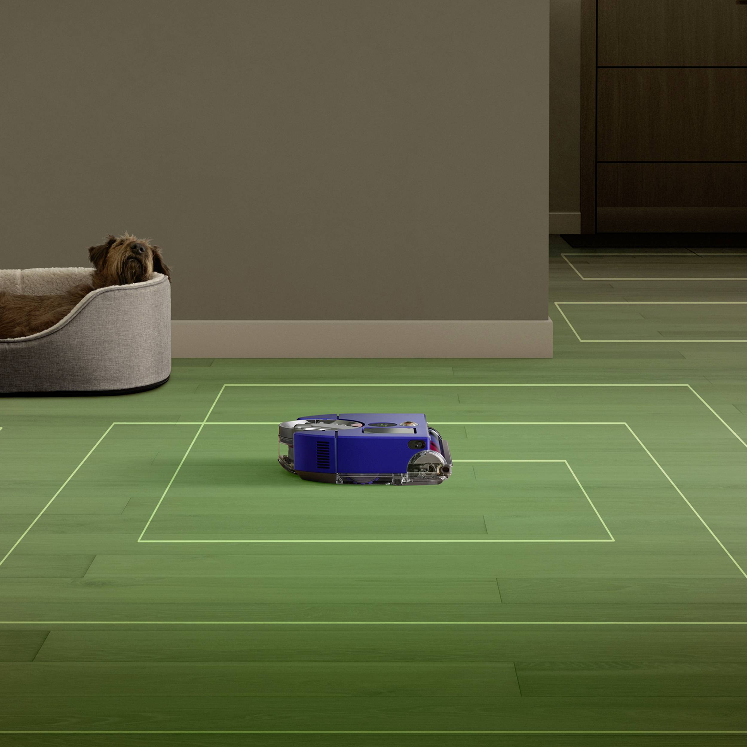 Dyson 360 Vis Nav Moulded Blue/Nickel Saugroboter Blau