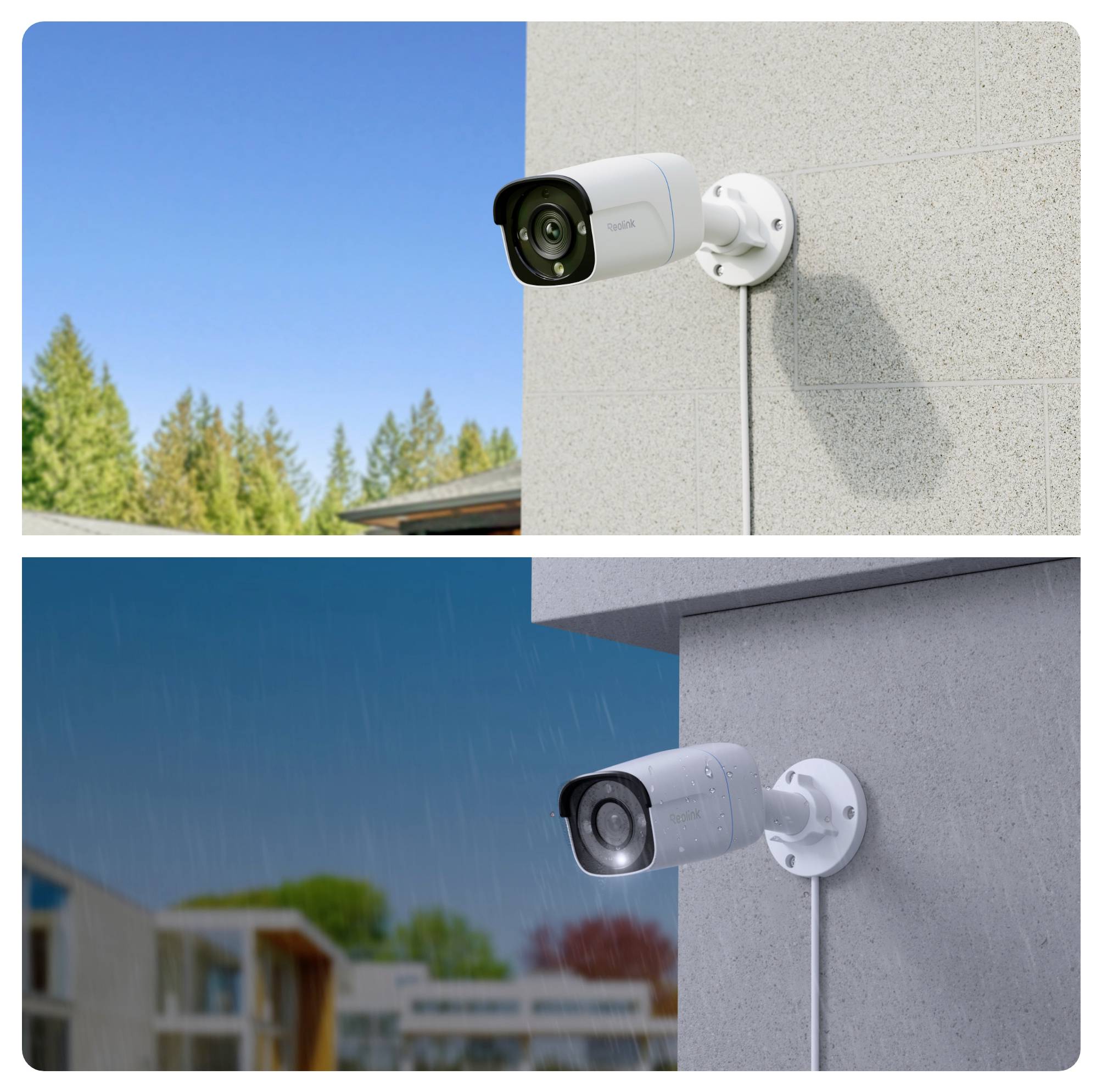 Reolink P330 LAN IP Überwachungskamera 3840 x 2160 Pixel