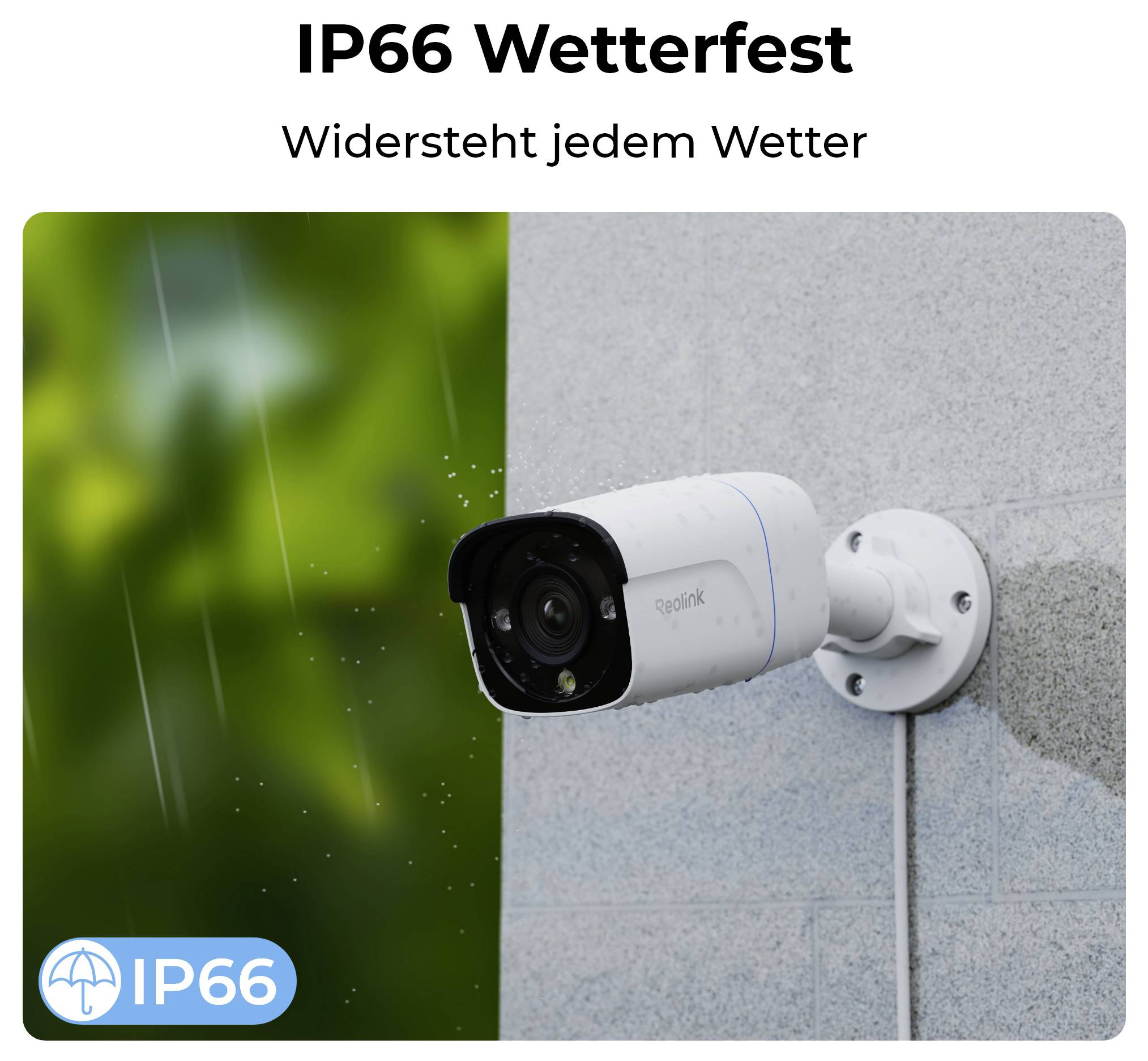 Reolink P330 LAN IP Überwachungskamera 3840 x 2160 Pixel