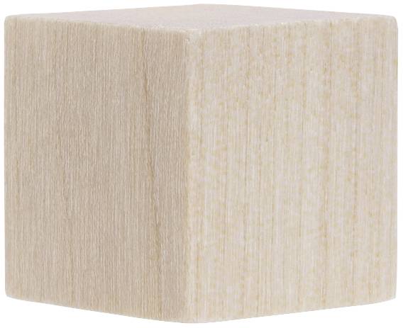 magnetoplan Magnet Cube (L x B x H) 20 x 20 x 20 mm Birke 4 St. 1665349