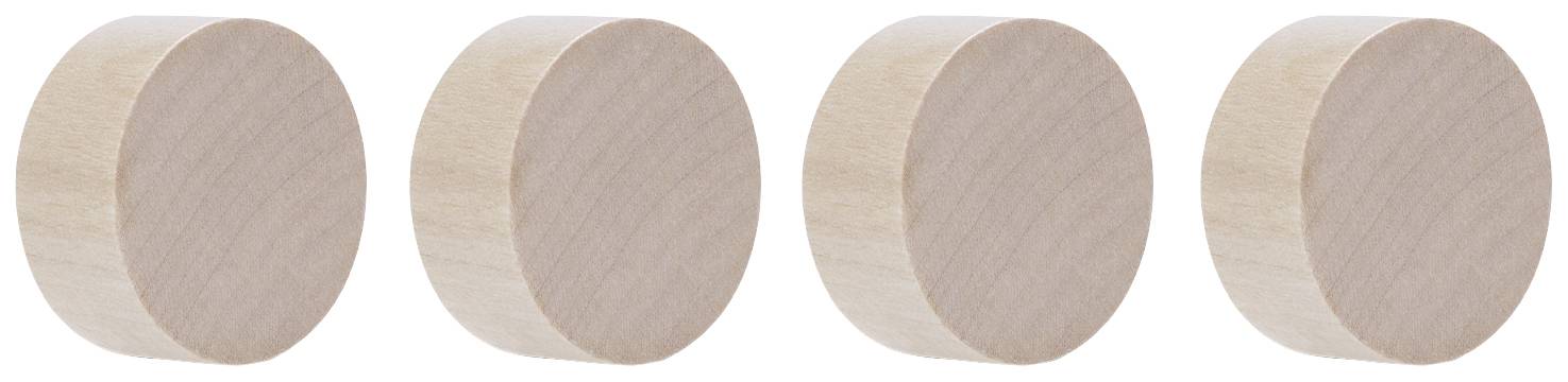 magnetoplan Magnet Circle (Ø) 30 mm Birke 4 St. 1665449