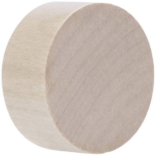 magnetoplan Magnet Circle (Ø) 30 mm Birke 4 St. 1665449