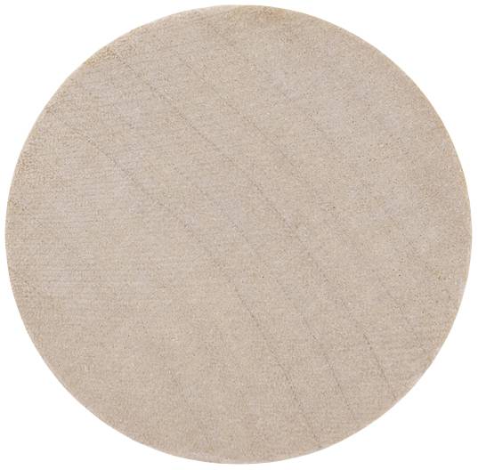 magnetoplan Magnet Circle (Ø) 30 mm Birke 4 St. 1665449