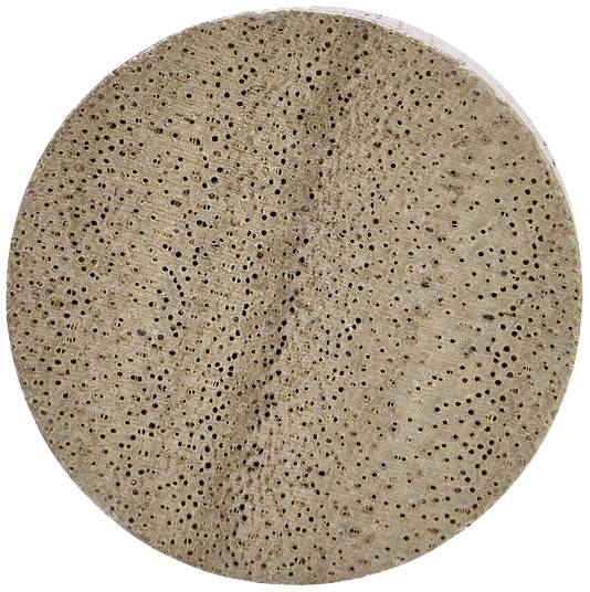 Querschnittsfoto eines Holzstücks mit vielen kleinen Löchern und einer hellbraunen Farbe, typisch für eine poröse Holzstruktur.