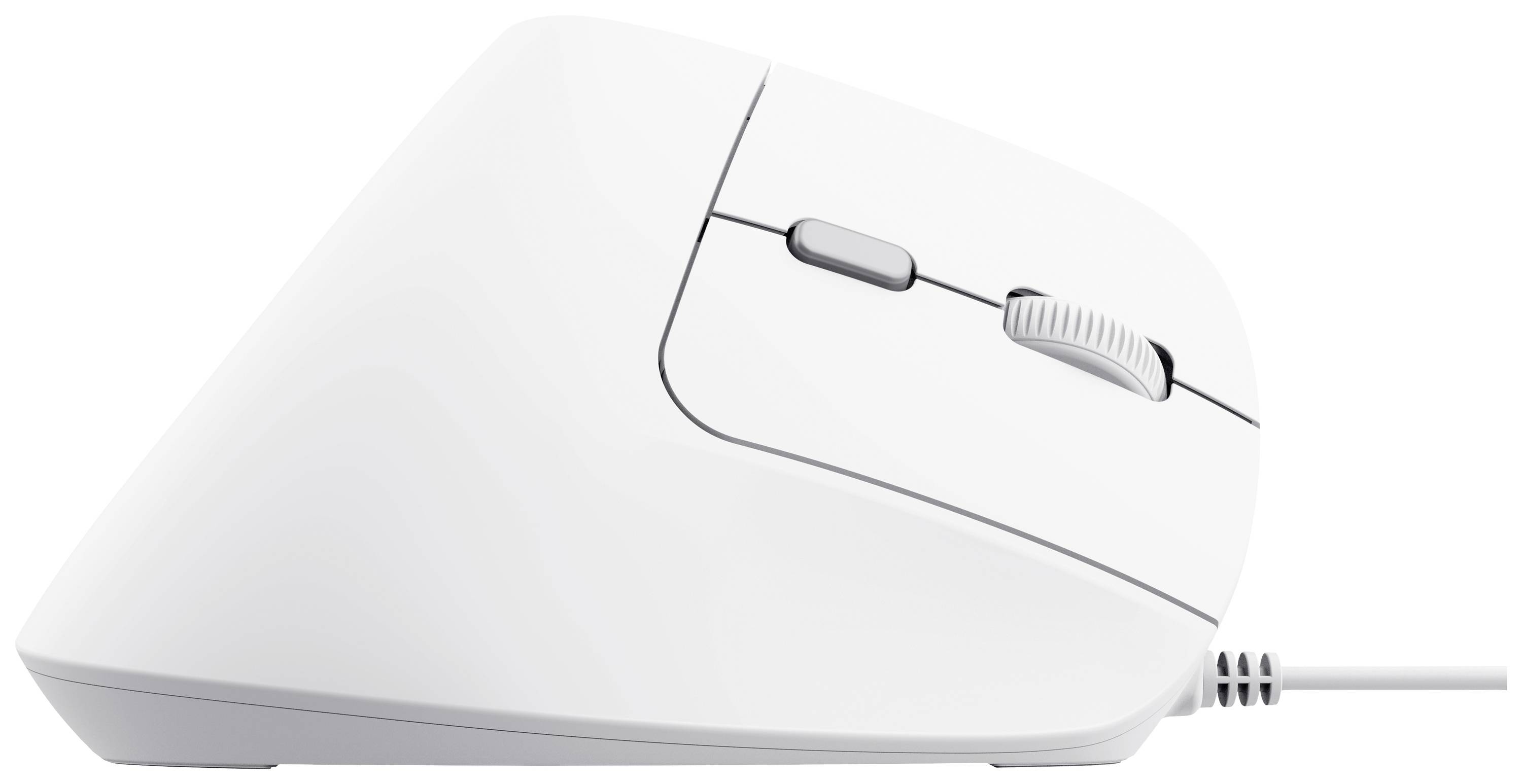 Trust BAYO II ERGONOMIC Maus Kabelgebunden Optisch Weiß 6 Tasten 2400 dpi Integriertes Scrollrad