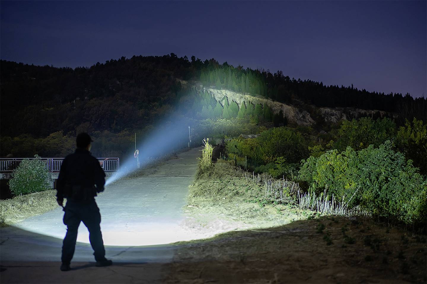 Eine Person beleuchtet nachts mit einer Taschenlampe einen Weg, der in einen bewaldeten Hügel führt.