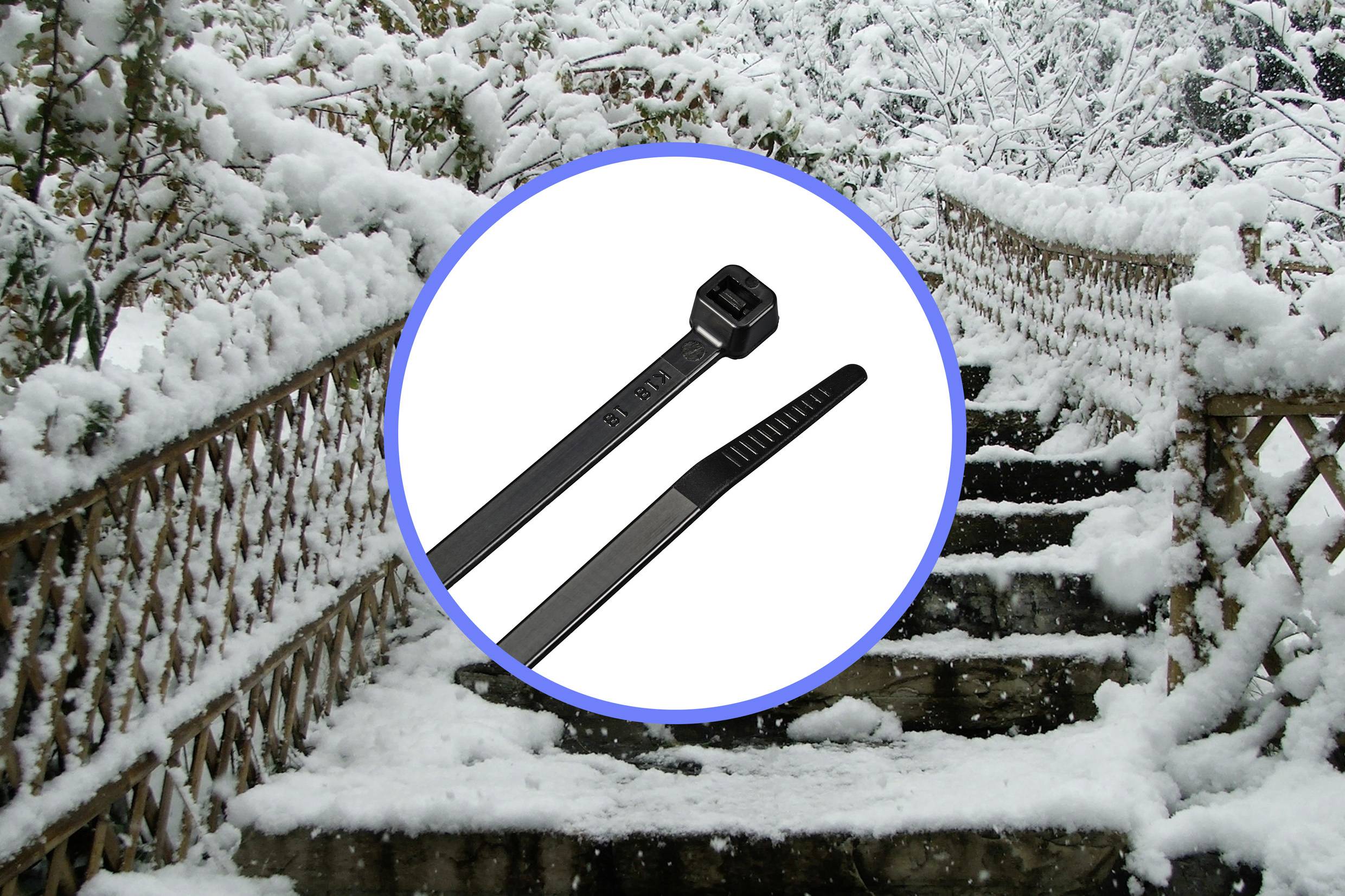 TRU COMPONENTS TC-12523696 Kabelbinder 250mm 4.8mm Schwarz Kälteresistenz 100St.