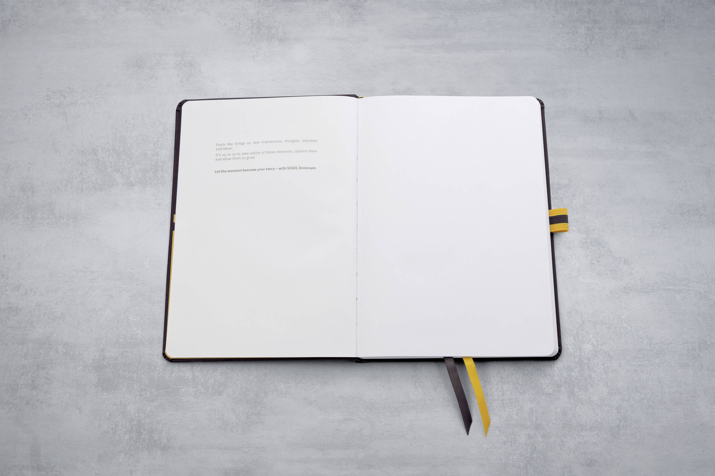 Sigel linescape LS106 Notizbuch kariert Dunkelgrau Anzahl der Blätter: 88 DIN A5hoch