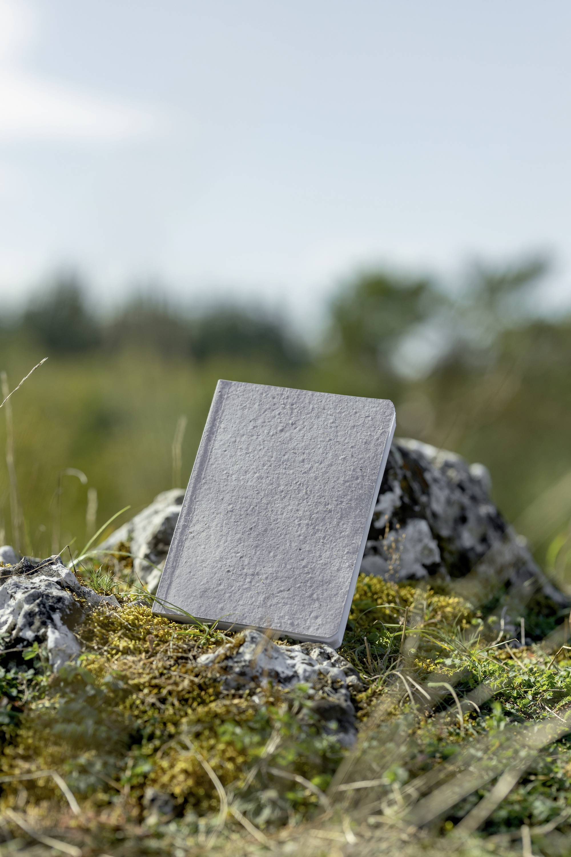 Sigel Re-Up RU100 Notizbuch kariert Hellgrau Anzahl der Blätter: 50 DIN A5hoch