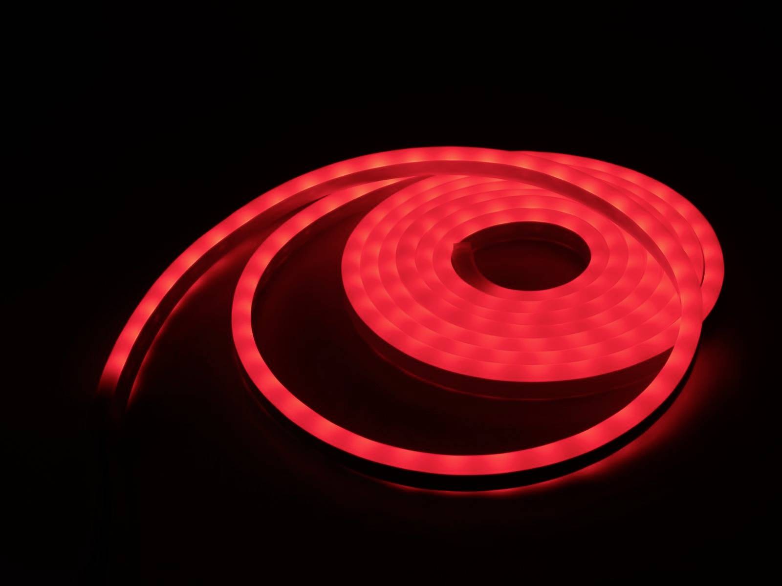 Eurolite LED LED Pixel Neon Flex 12V Lichtschlauch 5000mm RGB