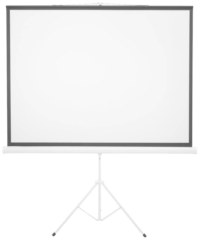 Eurolite 80901200 Stativleinwand 172 x 130cm Bildformat: 4:3