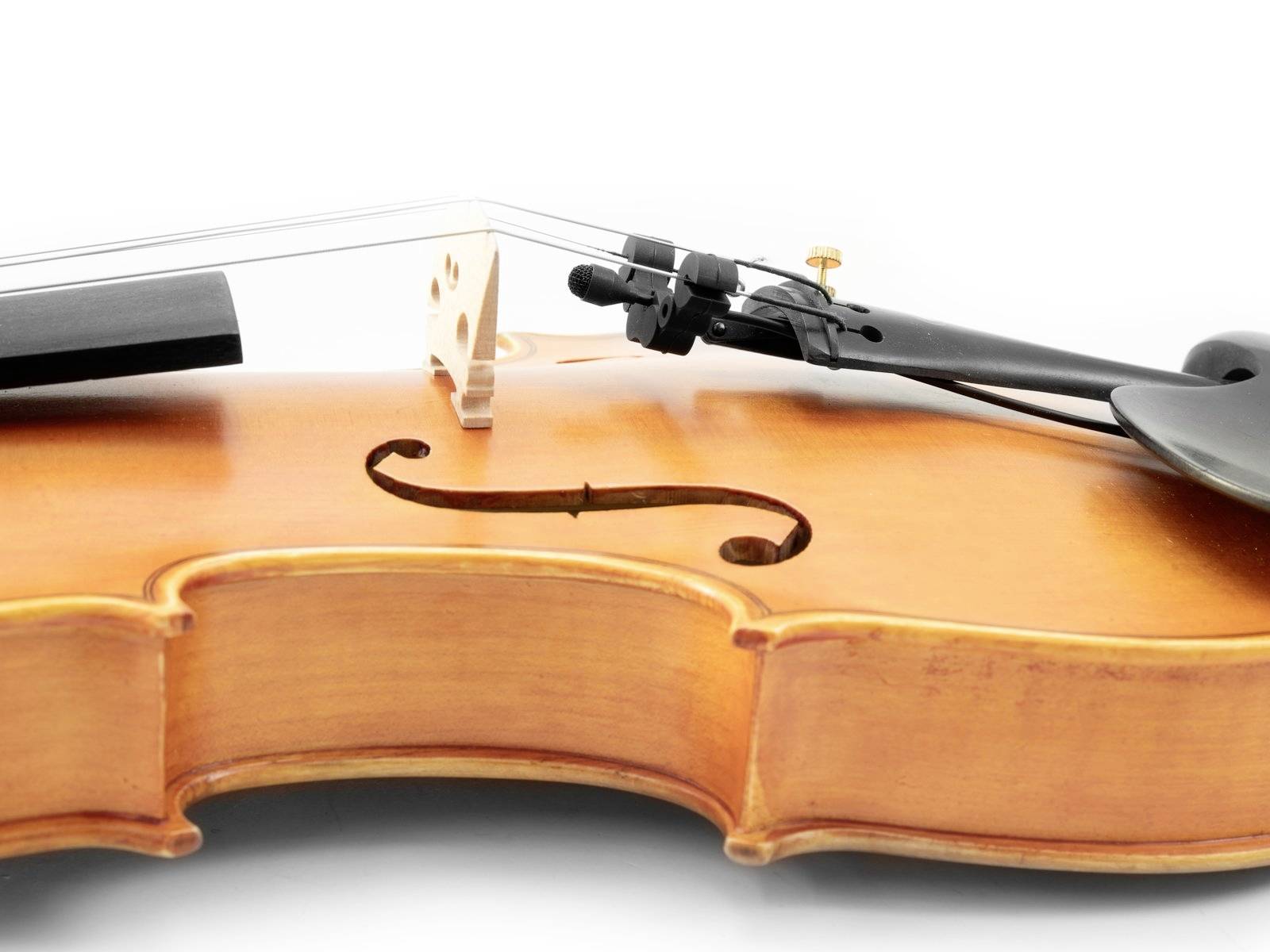 Nahaufnahme einer Violine mit Fokus auf den Korpus und die Saiten vor einem weißen Hintergrund.