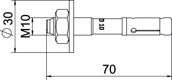 Technische Zeichnung eines Bolzens mit Buchse. Maße: Durchmesser 30 mm, Länge 70 mm, Schraubengröße M10.