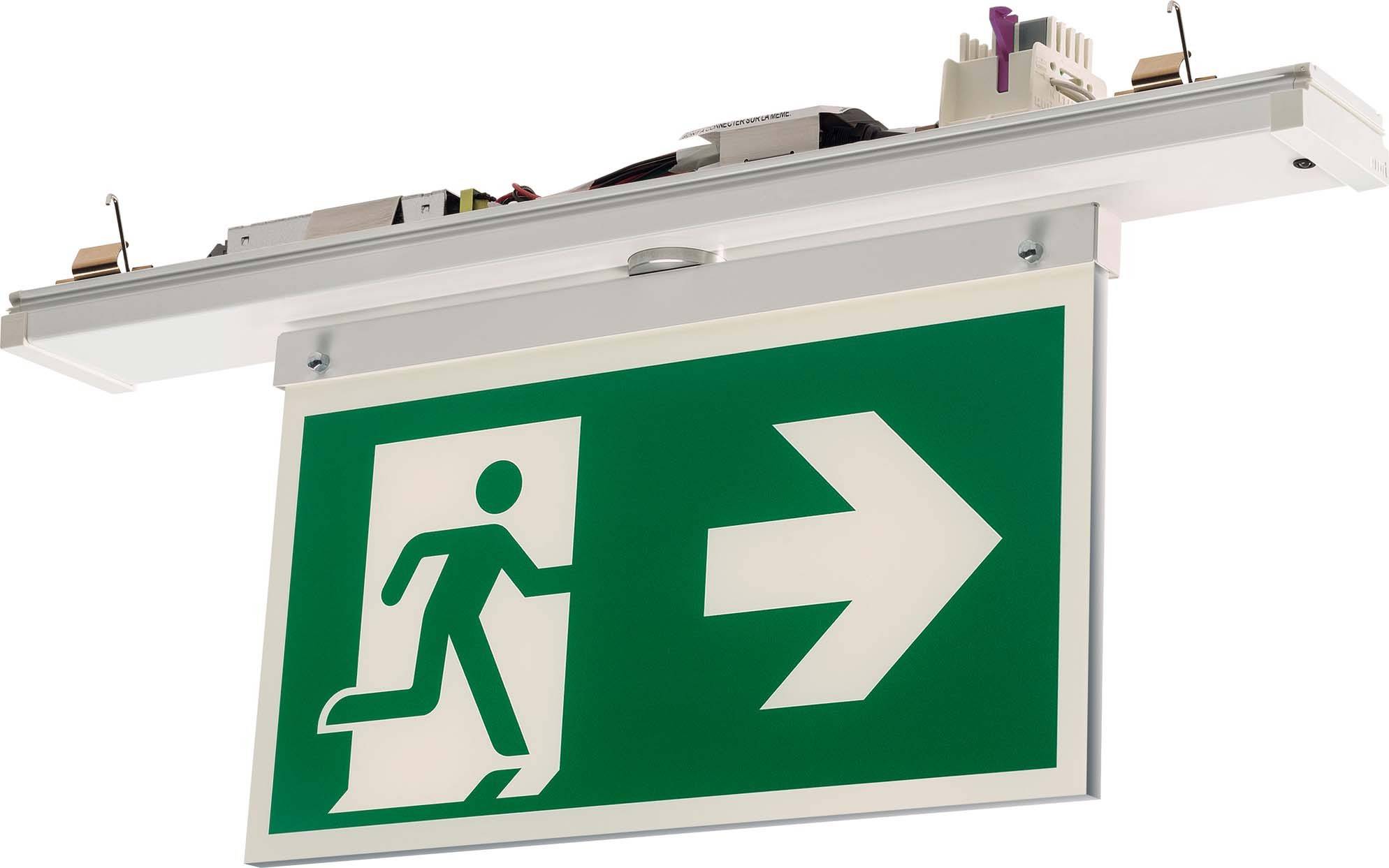 RIDI 1520196//373 Fluchtweg-Notbeleuchtung