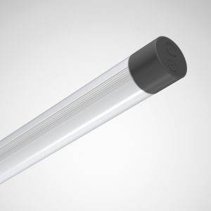 LED-Röhre mit transparentem Gehäuse und schwarzer Kappe an einem Ende vor grauem Hintergrund. Geeignet für Büro- und Hausbeleuchtung.