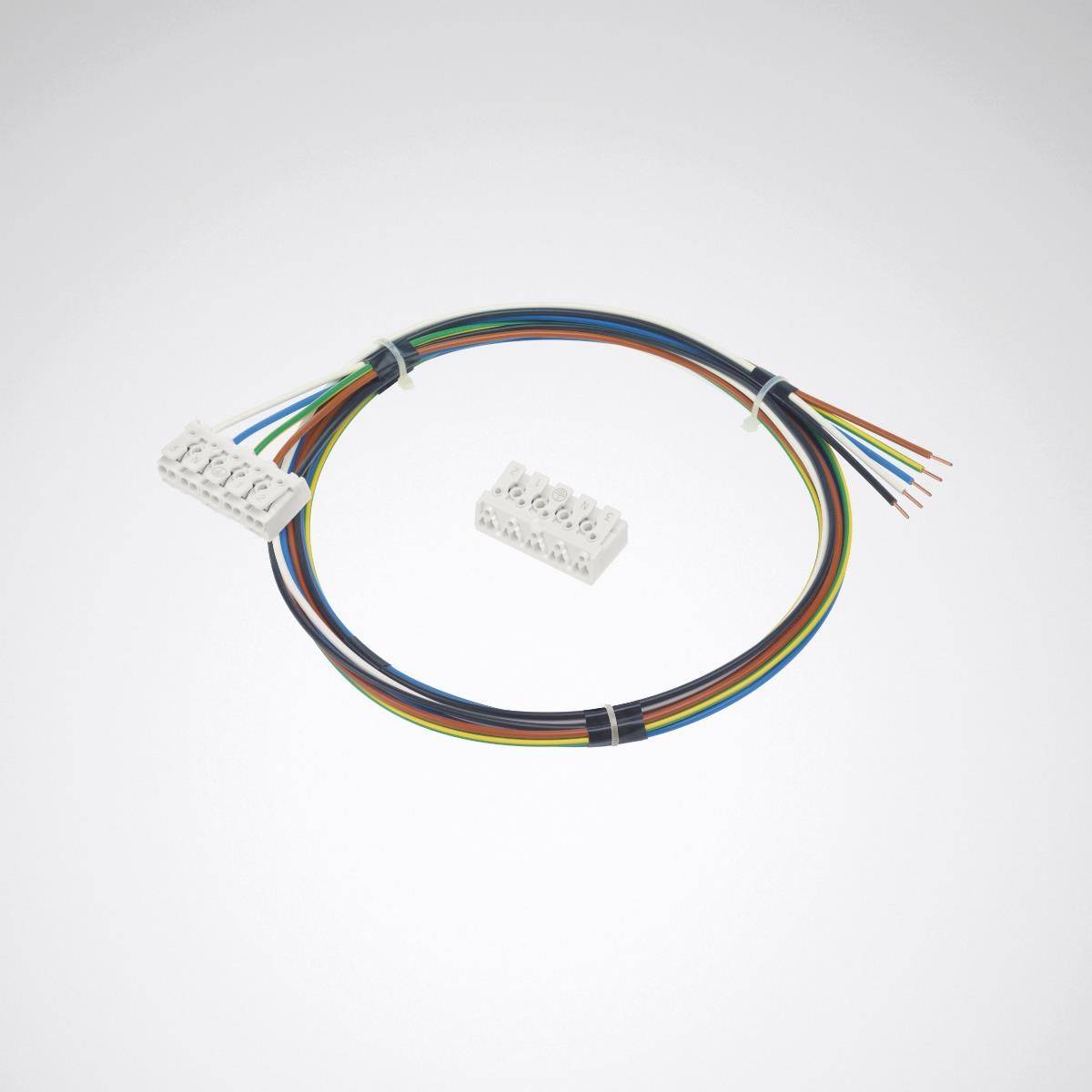 Ein Kabel mit mehreren bunten Adern und einem weißen Adapter ist in einem Kreis gelegt. Daneben liegt ein separater weißer Anschluss.