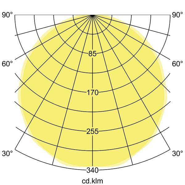 Polardiagramm zeigt Lichtverteilung einer Lampe. Die Strahlen sind in Grad markiert, Helligkeit in Candela pro Lumen dargestellt.