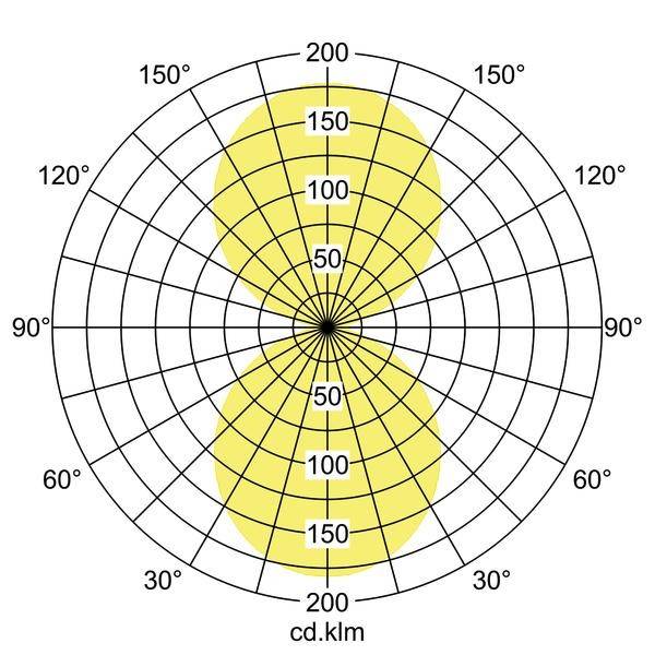 Brumberg 13642173 13642173 LED-Pendelleuchte LED ohne Weiß