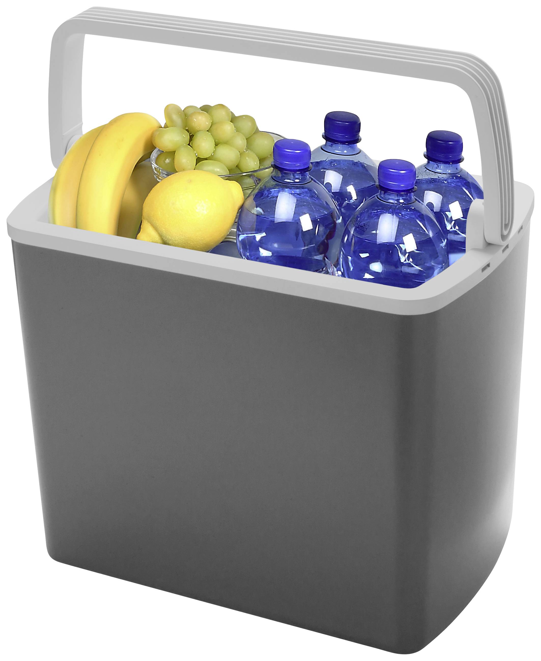 Eine graue Kühlbox, gefüllt mit Bananen, Zitronen, Trauben und Wasserflaschen.