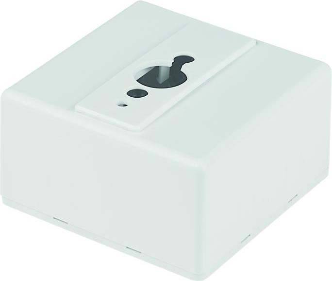 RIDI 208835 Deckenanbauadapter 208835 1St.