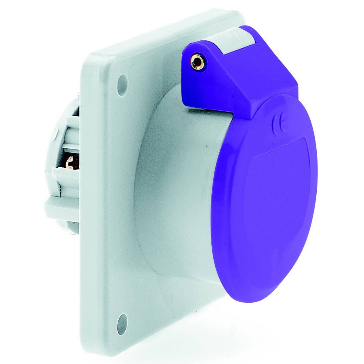 Bals Elektrotechnik 430 430 CEE Anbaudose 16.0A 2polig 1St.