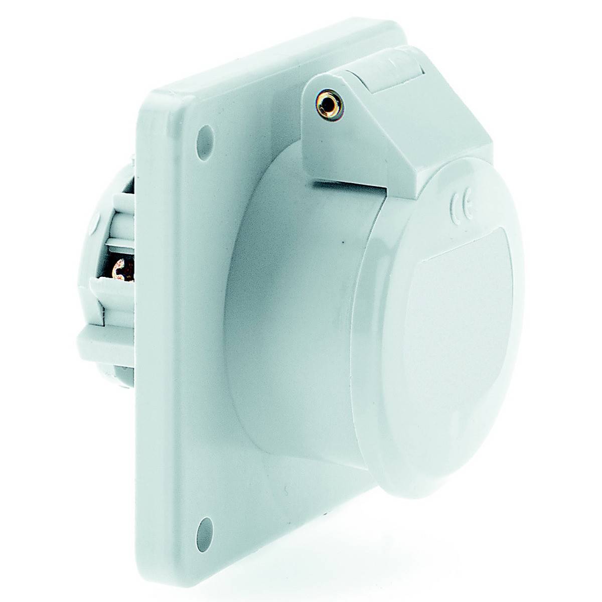 Bals Elektrotechnik 4312 4312 CEE Anbaudose 32.0A 2polig 50V 1St.