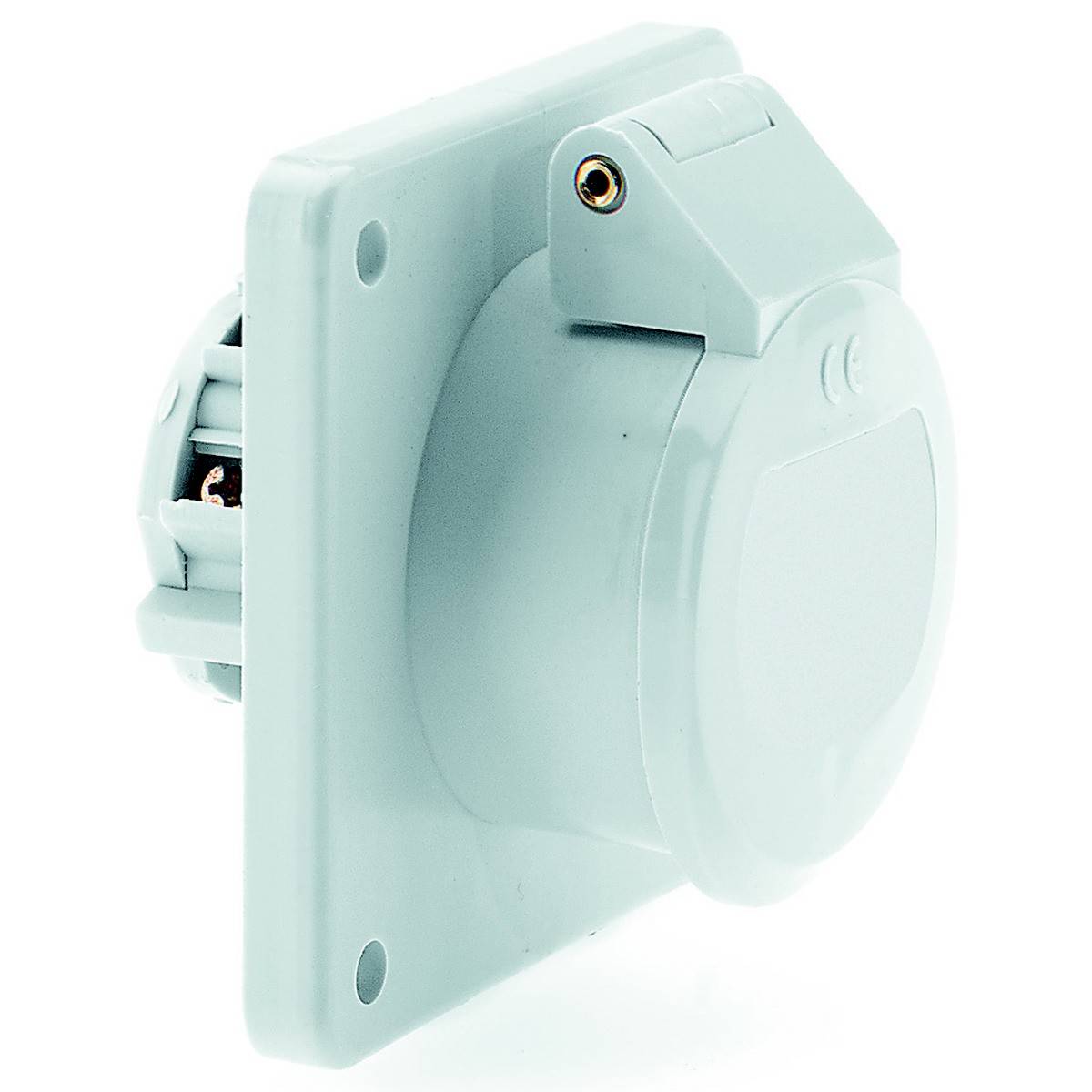 Bals Elektrotechnik 4316 4316 CEE Anbaudose 32.0A 2polig 50V 1St.