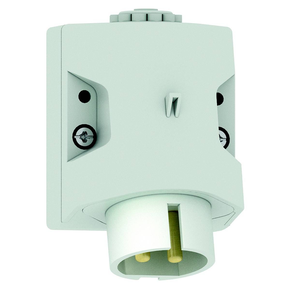 Bals Elektrotechnik 4612 4612 CEE Wandstecker 32.0A 2polig 50V 1St.