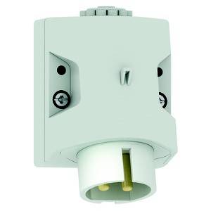 Bals Elektrotechnik 4612 4612 CEE Wandstecker 32.0A 2polig 50V 1St.