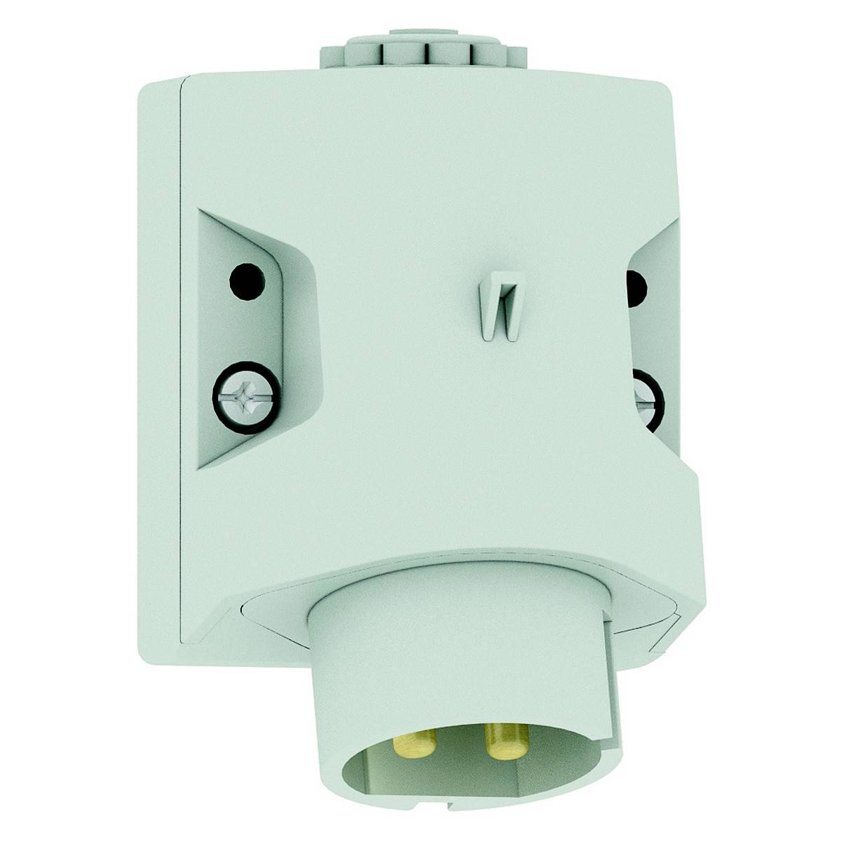 Bals Elektrotechnik 4616 4616 CEE Wandstecker 32.0A 2polig 1St.