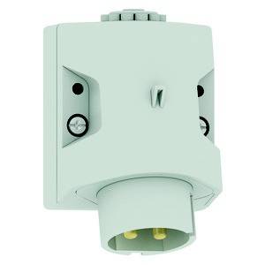 Bals Elektrotechnik 4616 4616 CEE Wandstecker 32.0A 2polig 1St.