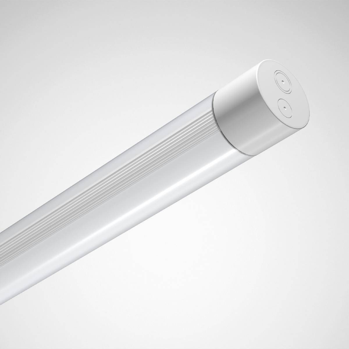 Eine moderne LED-Röhre mit zylindrischem Gehäuse und schlichtem Design, auf grauem Hintergrund dargestellt.