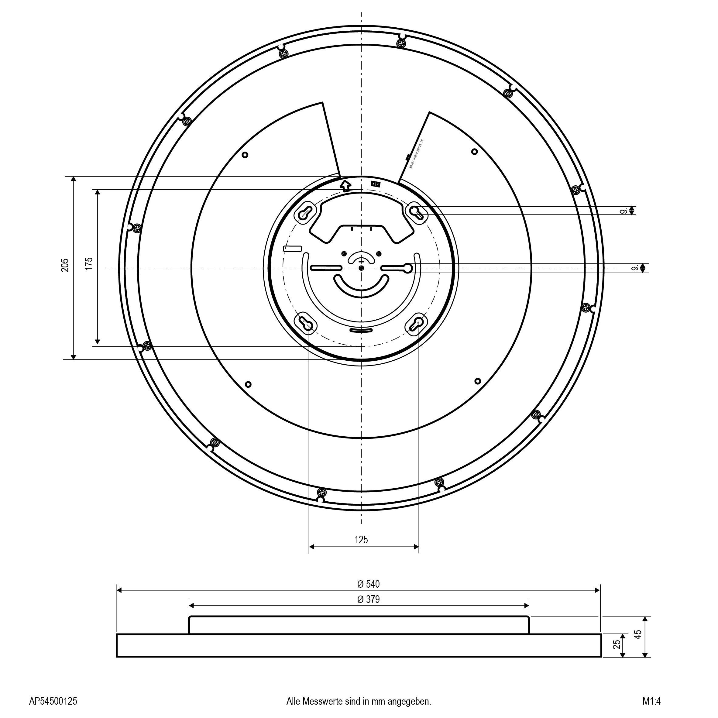 Technische Zeichnung eines kreisförmigen Teils mit Maßen. Durchmesser 540 mm, zentrale Aussparung 125 mm, mehrere Bohrlöcher.