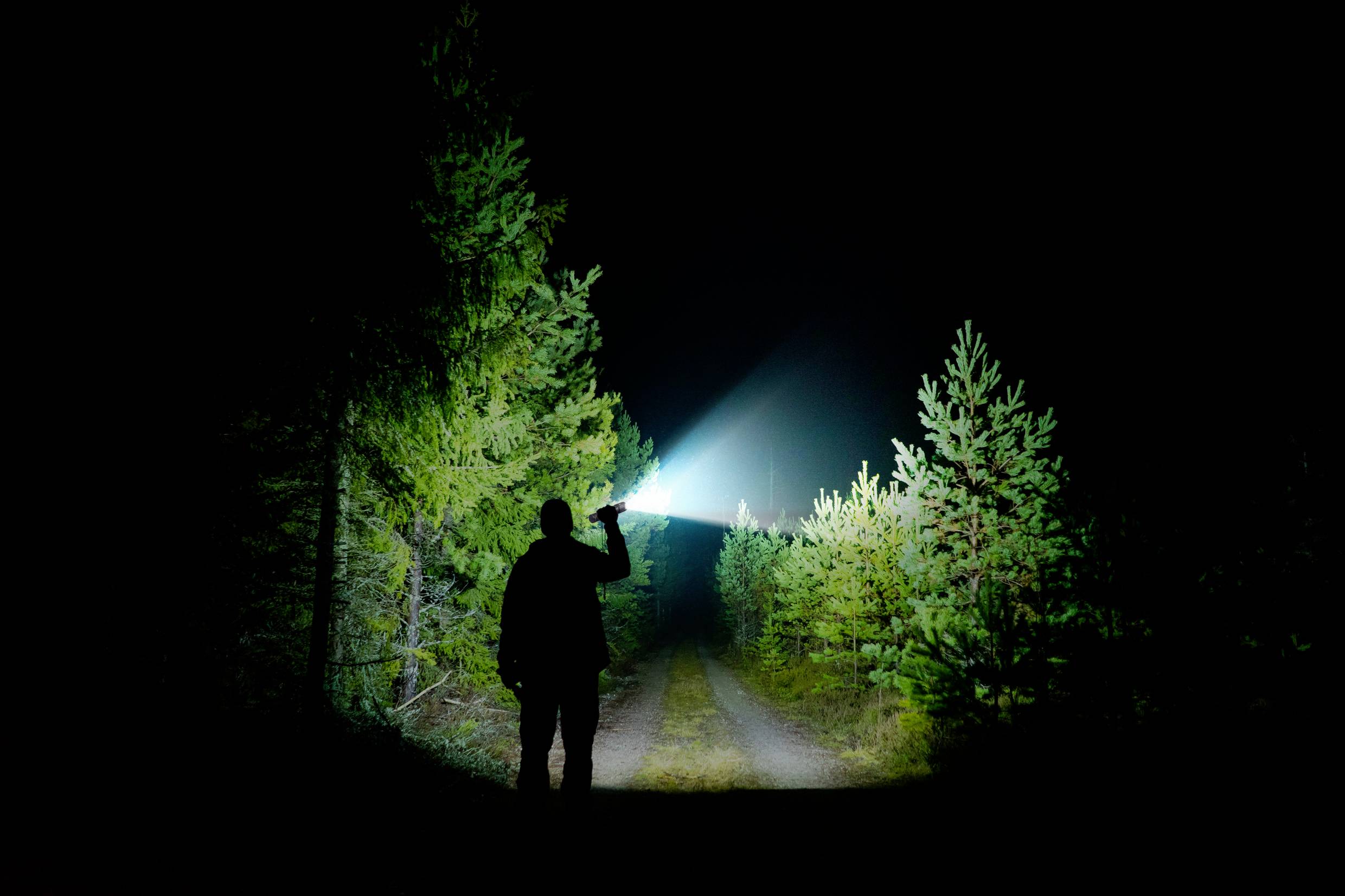 Person im Dunkeln auf Waldweg, hält Taschenlampe, die helle Lichtbahn auf den Weg wirft, umgeben von Bäumen.