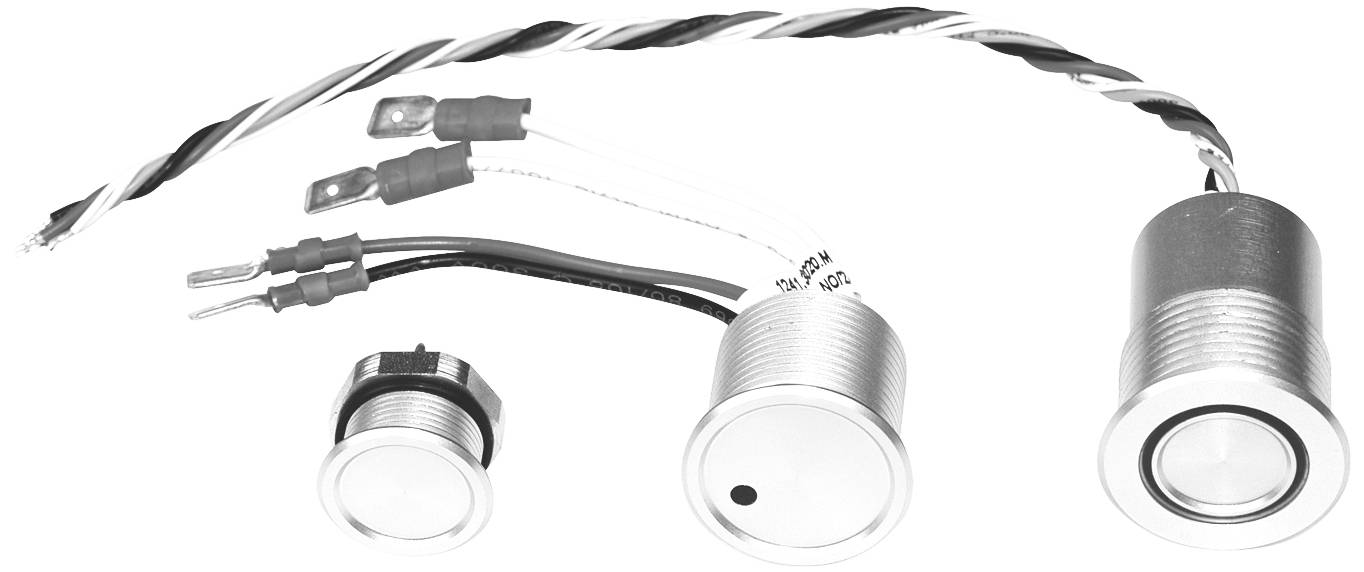 Schurter 1241.3006 1241.3006 Tastschalter 42 V/AC 0.1A Grün IP69K 1St.