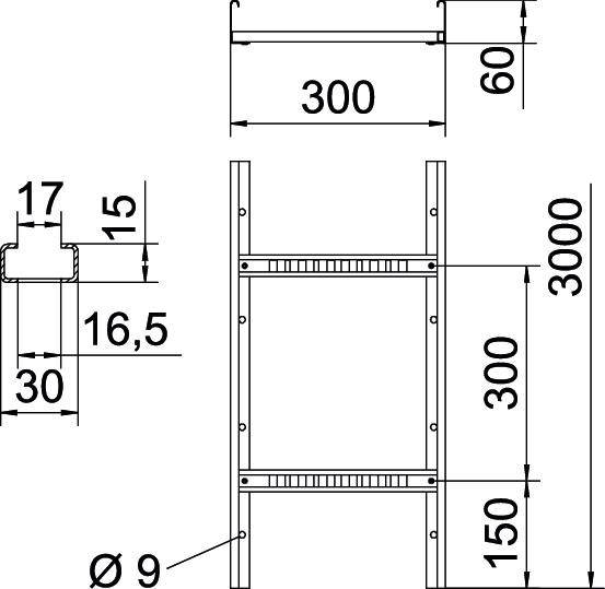 Technische Zeichnung eines Stahlprofils mit Maßen: Höhe 3000 mm, Breite 300 mm, Tiefe 60 mm. Details zu Durchmesser und Abständen.