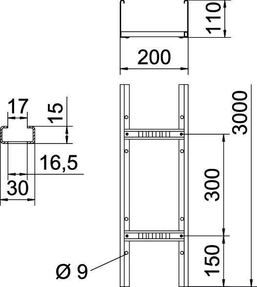 Technische Zeichnung einer Leiter: Länge 3000 mm, Breite 200 mm, Sprossenabstand 300 mm, Durchmesser der Sprossen 9 mm.
